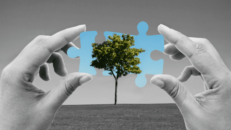 Global Climate Solutions