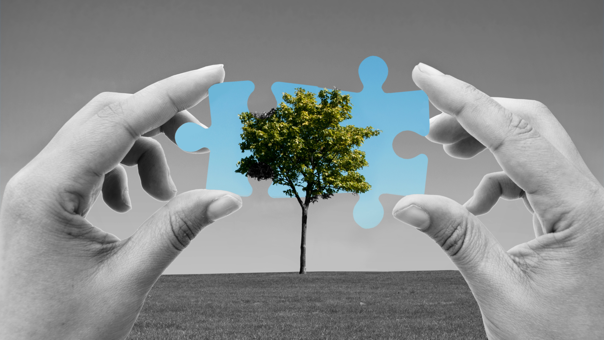 Global Climate Solutions